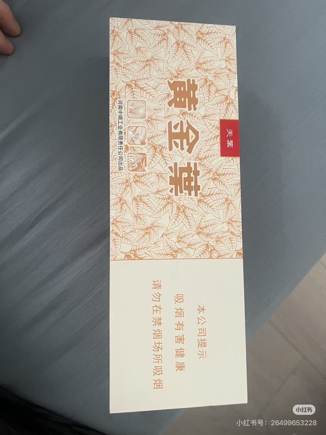 黄金叶粗天叶